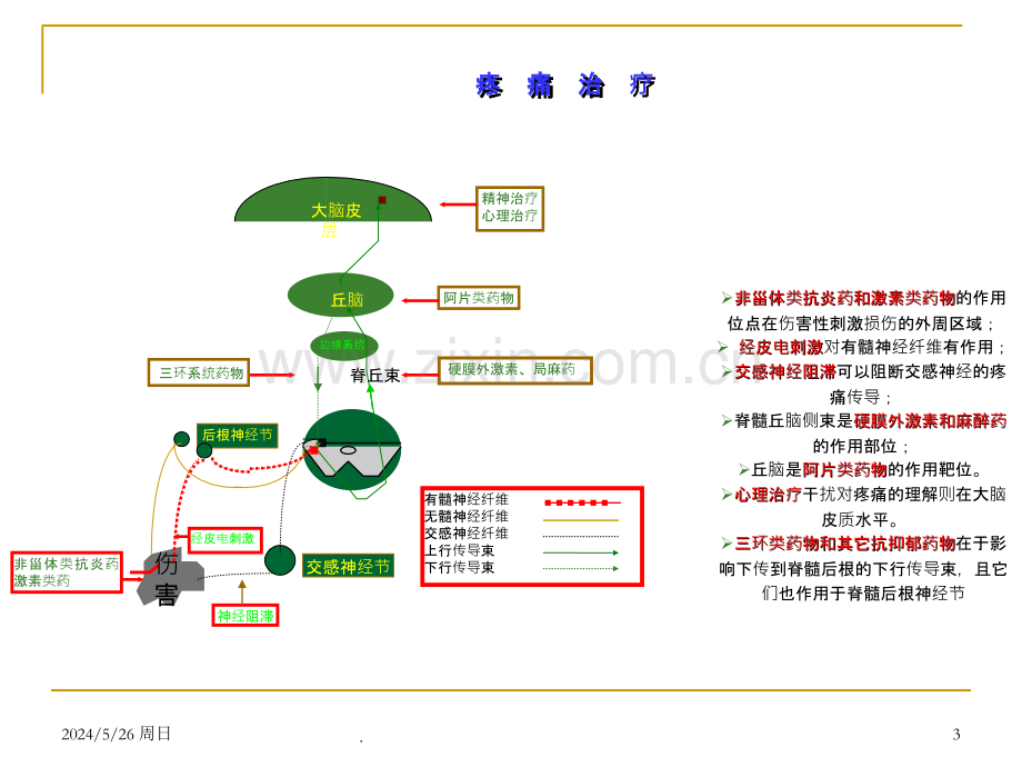 疼痛的药物治疗.ppt_第3页