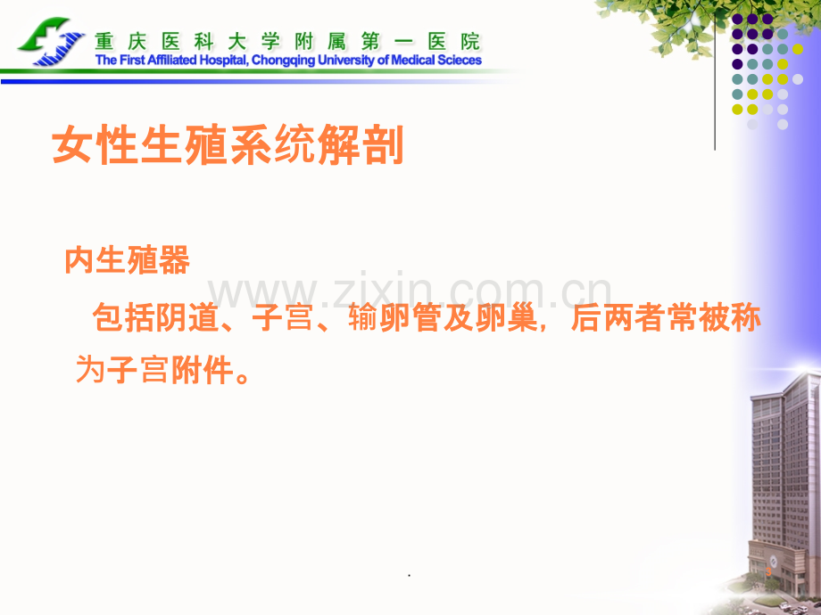 常见宫颈疾病的预防和护理ppt课件.ppt_第3页