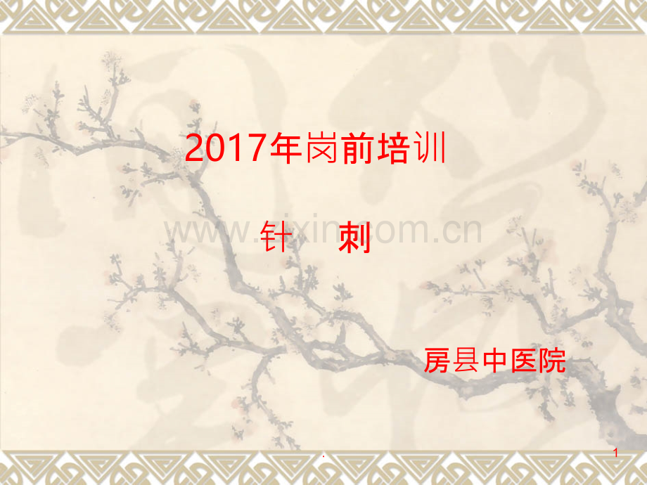 针刺.ppt_第1页