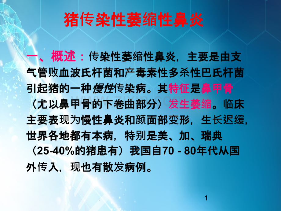 动物传染病-四、猪传染性萎缩性鼻ppt课件.ppt_第1页