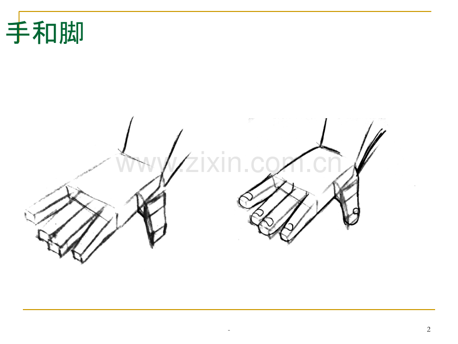 《动画造型设计》动画解剖与造型(下).ppt_第2页