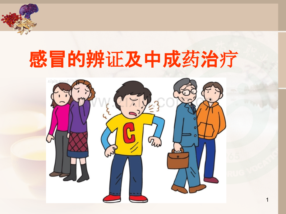 感冒中成药.ppt_第1页