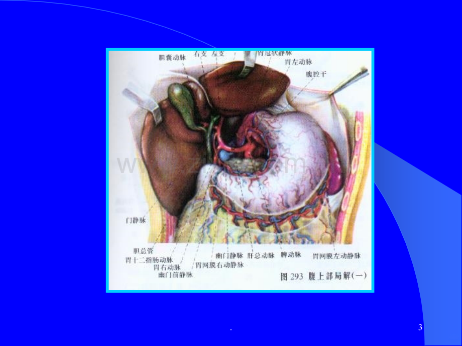 胃肠道疾病.ppt_第3页