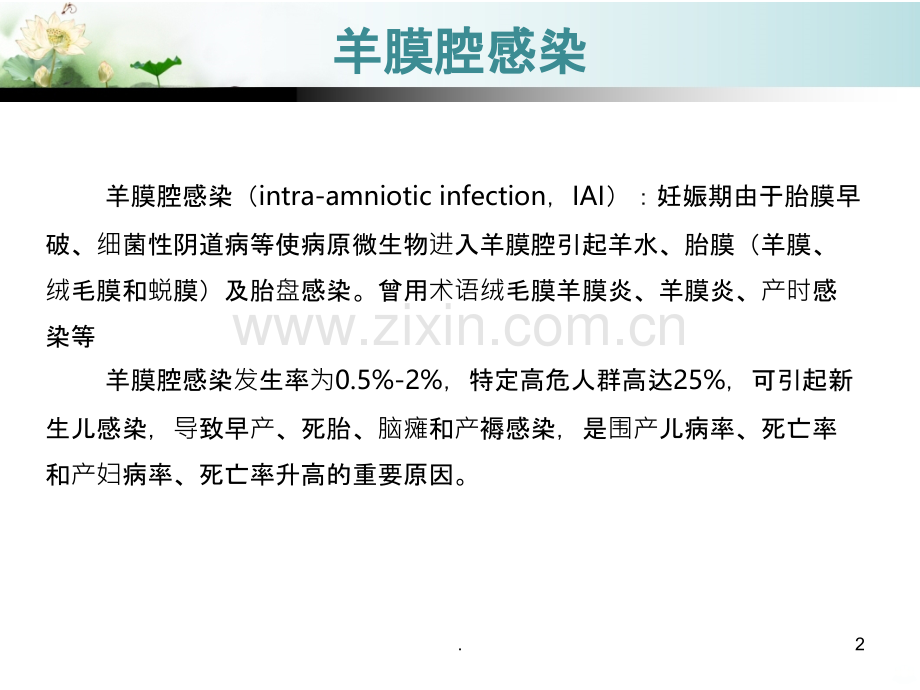 羊膜腔感染.ppt_第2页