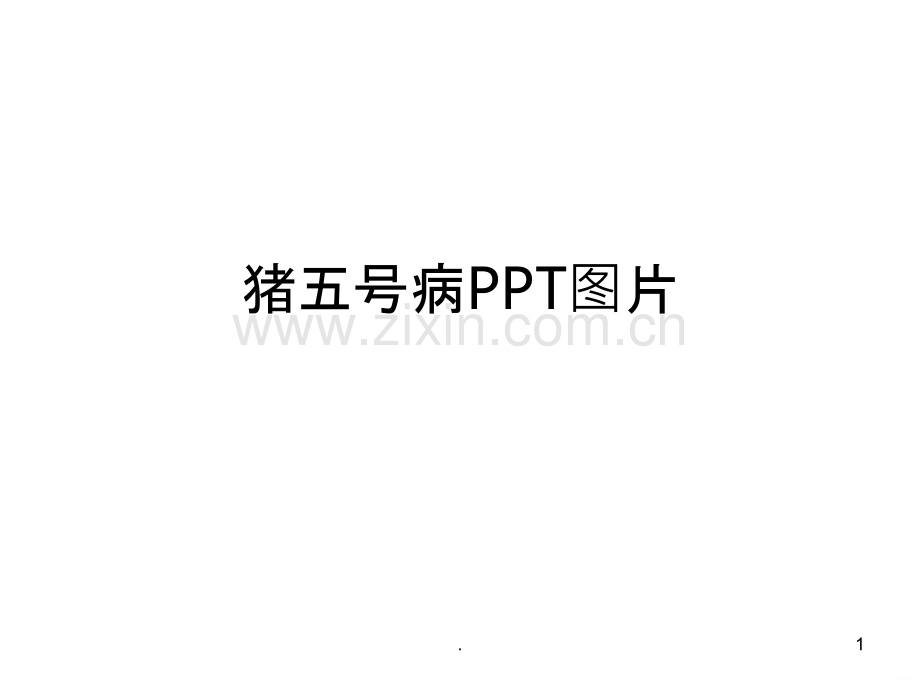 猪五号病图片.ppt_第1页