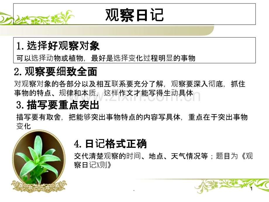 绿豆芽观察日记.ppt_第1页