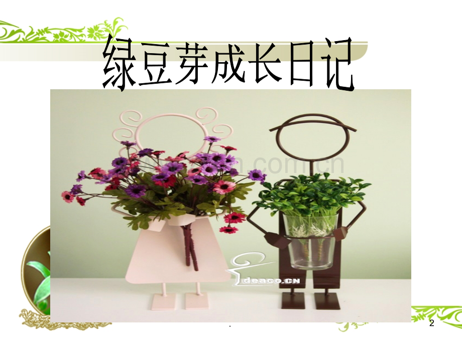 绿豆芽观察日记.ppt_第2页