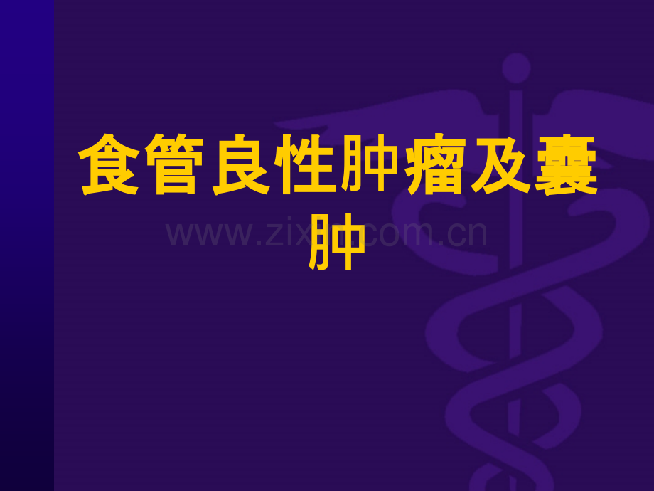 食管良性肿瘤及囊肿ppt课件.ppt_第1页