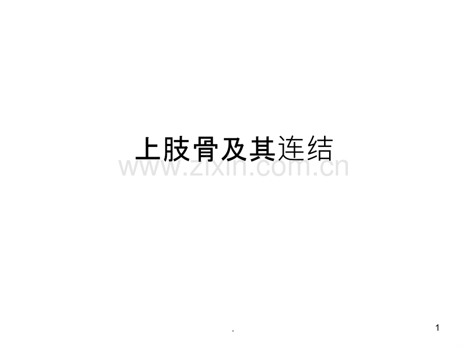 上肢骨与其连结.ppt_第1页