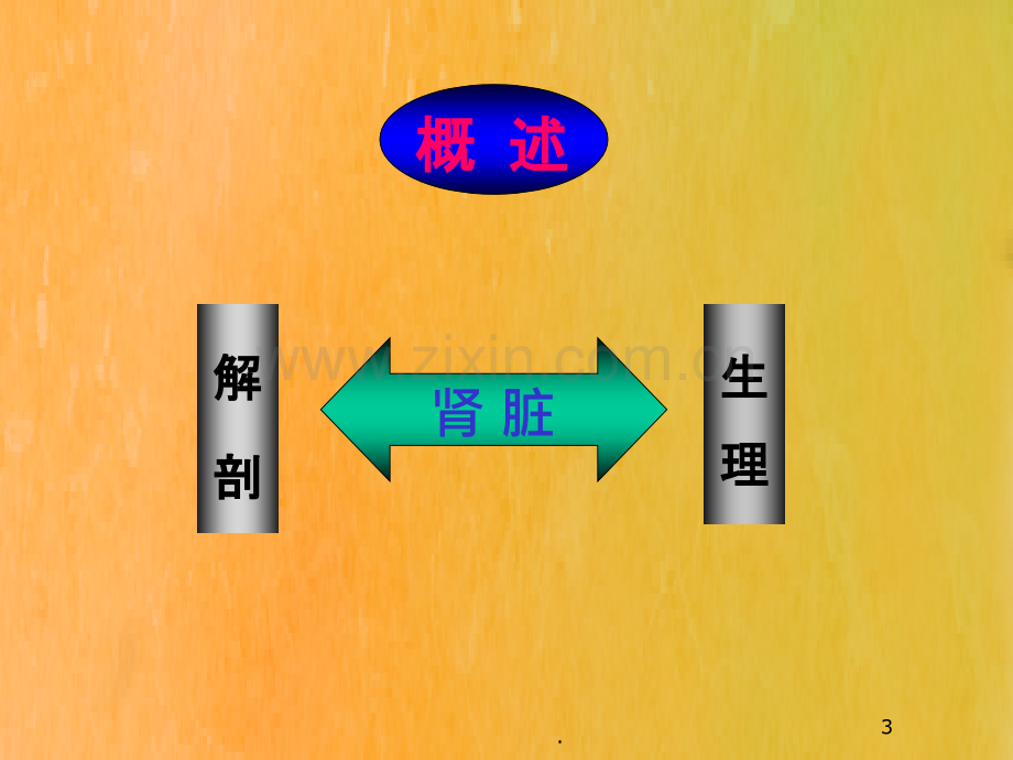 肾功能障碍患者的麻醉.ppt_第3页