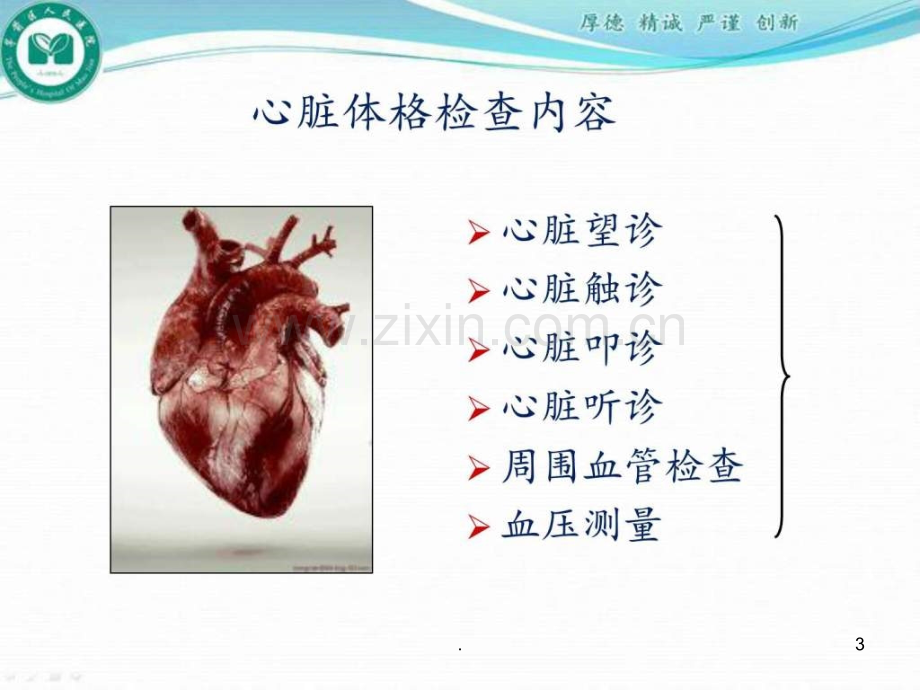 心脏体格检查PPT(1)ppt课件.ppt_第3页