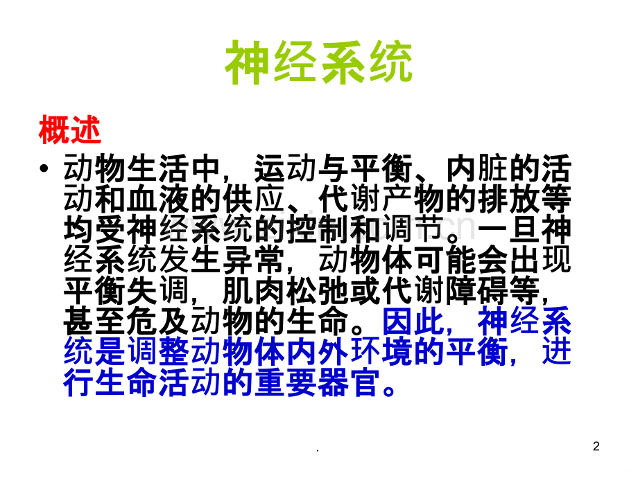 神经系统竞赛ppt课件.ppt_第2页