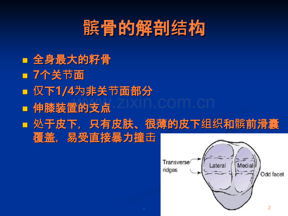 髌骨骨折的应用解剖及手术治疗ppt课件.ppt_第2页