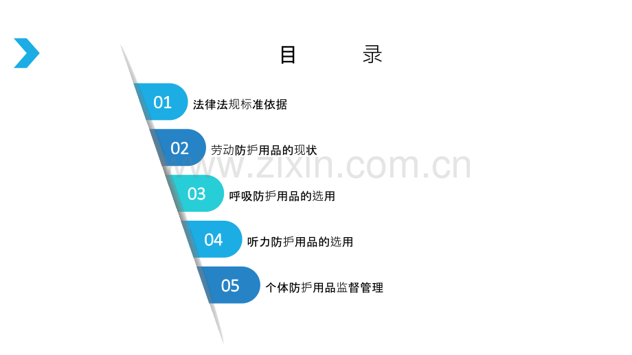 个体防护用品.ppt_第2页