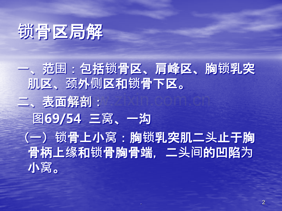 锁骨区局部解剖.ppt_第2页