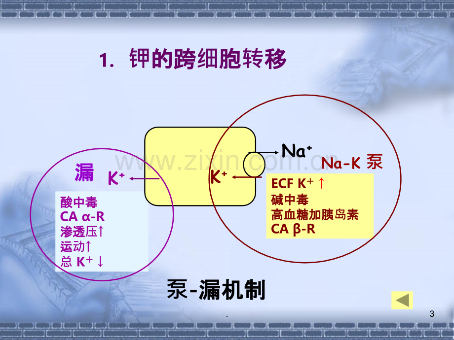 水电解质代谢紊乱---钾代谢障碍.ppt_第3页