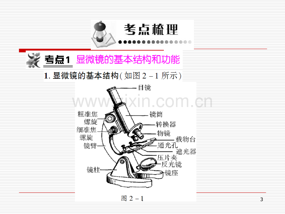 初中生物专题复习二生物体的结构层次.ppt_第3页