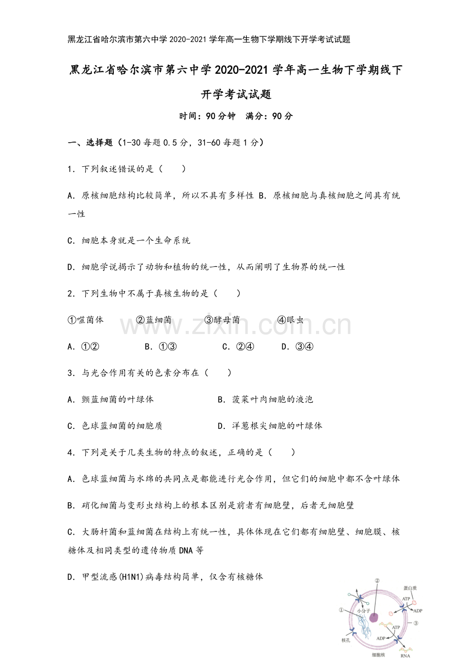 黑龙江省哈尔滨市第六中学2020-2021学年高一生物下学期线下开学考试试题.doc_第2页