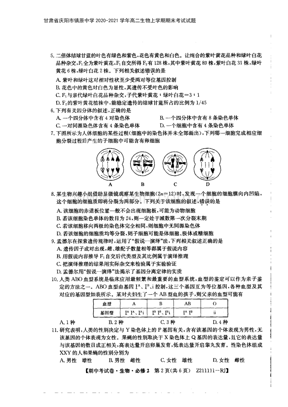 甘肃省庆阳市镇原中学2020-2021学年高二生物上学期期末考试试题.doc_第3页