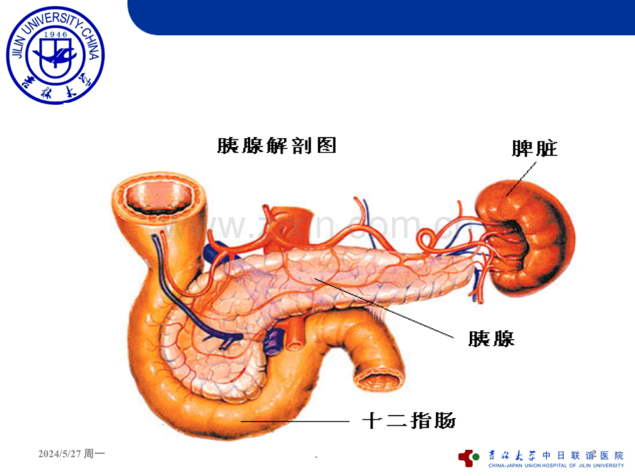 急性重症胰腺炎的护理ppt课件.ppt_第2页