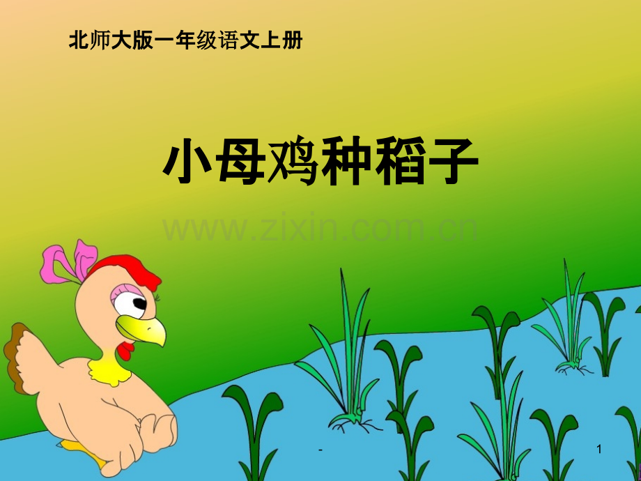 《小母鸡种稻子》.ppt_第1页