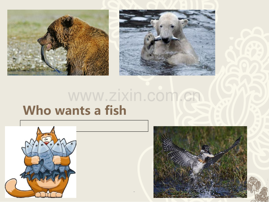 Who-wants-a-fish--story.ppt_第1页