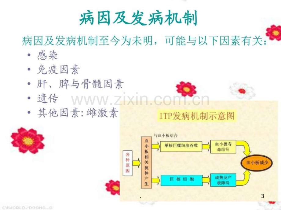 特发性血小板减少性紫癜患者的护理查房ppt课件.ppt_第3页