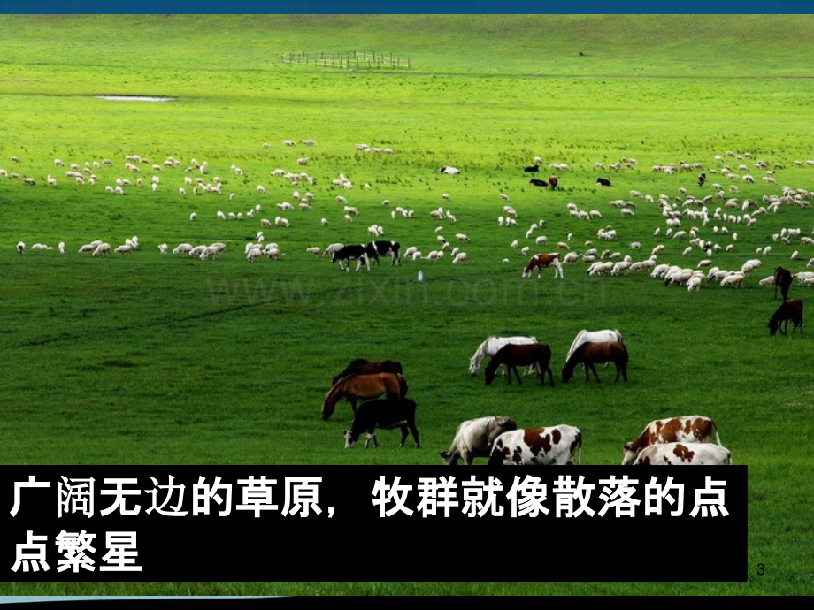 农业的区位选择(邵俊峰).ppt_第3页