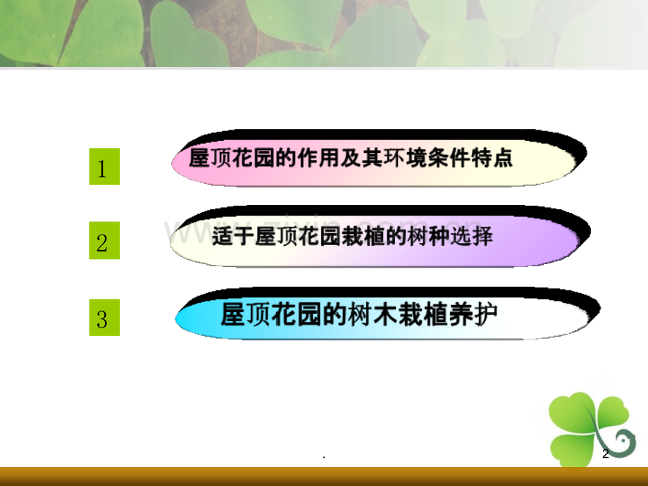 屋顶花园绿化树种选择与栽培养护.ppt_第2页