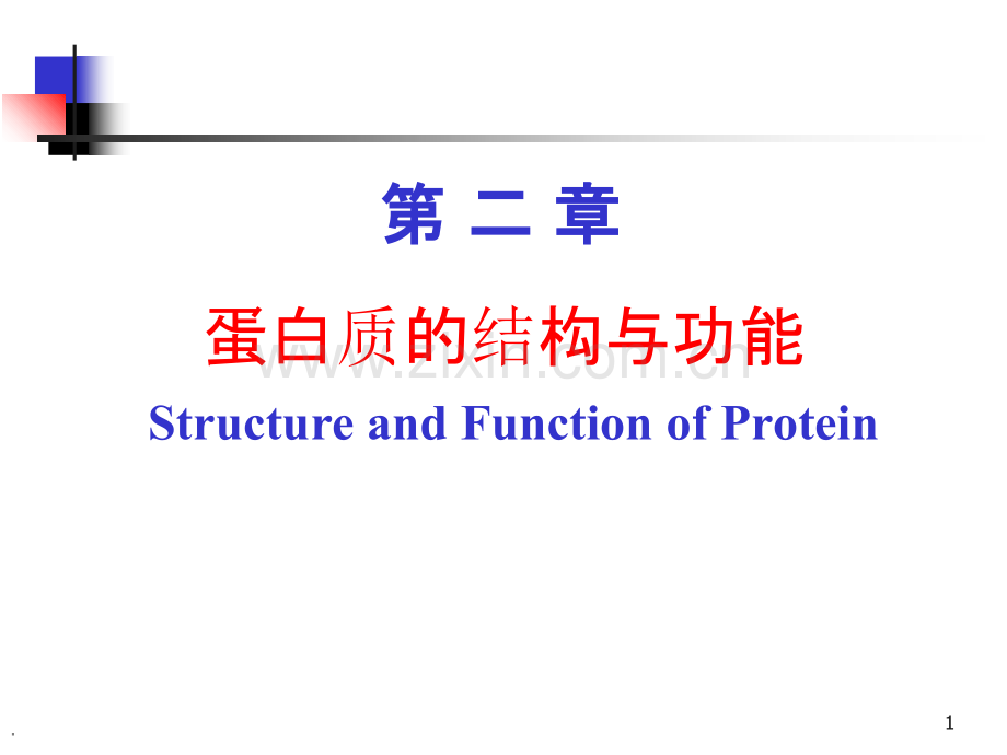 第二章蛋白质结构与功能.ppt_第1页