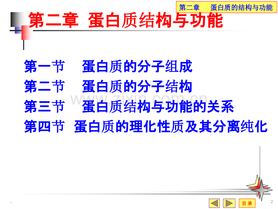 第二章蛋白质结构与功能.ppt_第2页