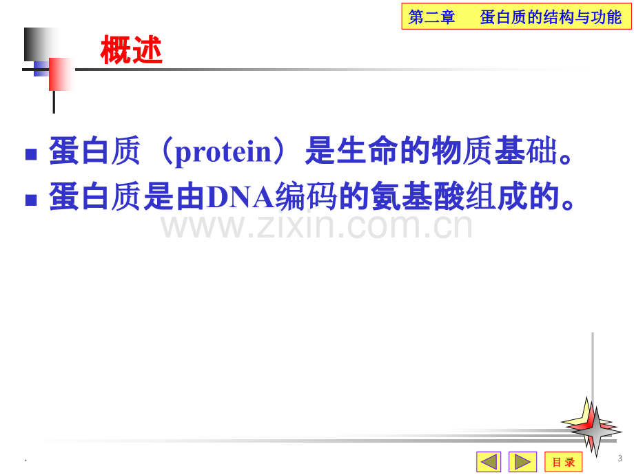 第二章蛋白质结构与功能.ppt_第3页