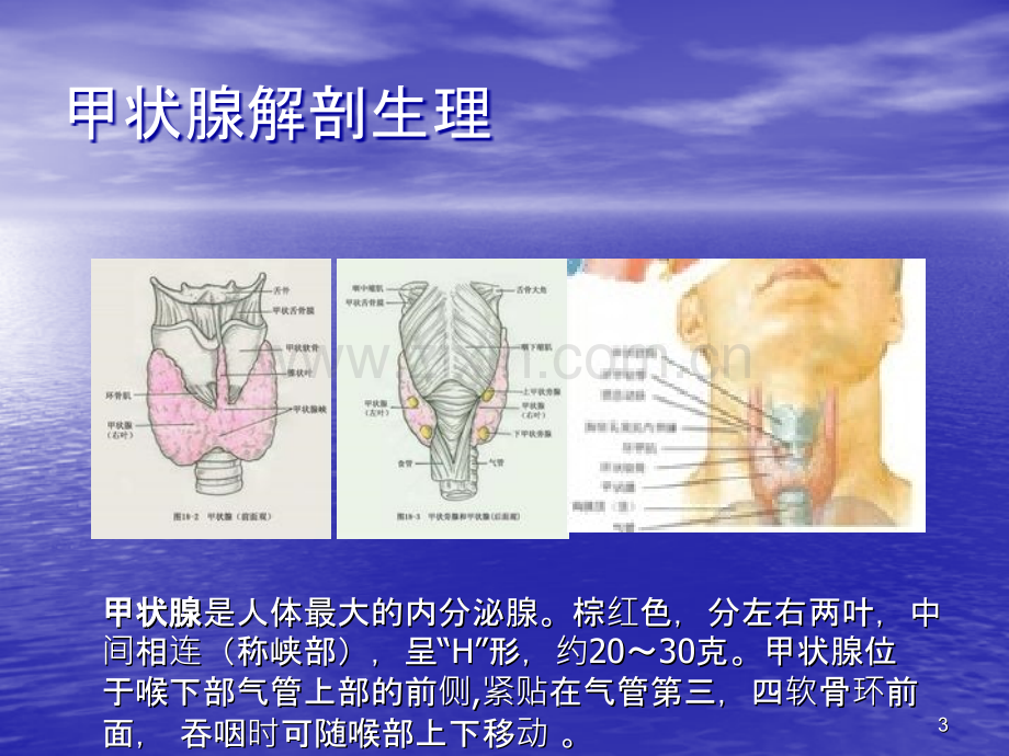 甲状腺围手术期护ppt课件.ppt_第3页