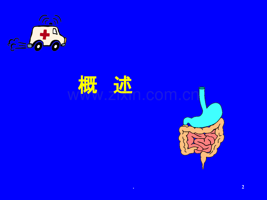 腹部的体格检查.ppt_第2页