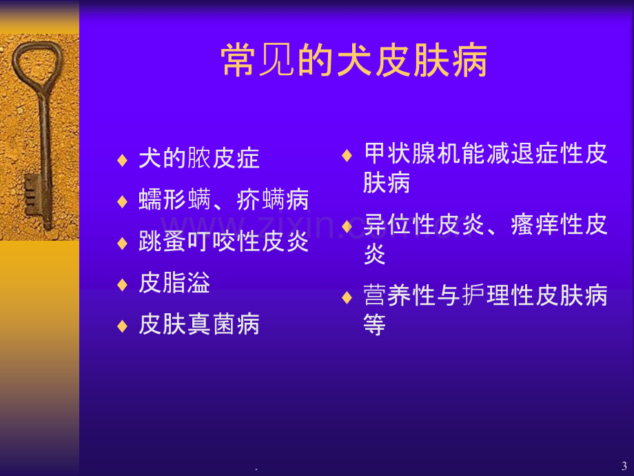 临床皮肤病病例分析林德贵ppt课件.ppt_第3页