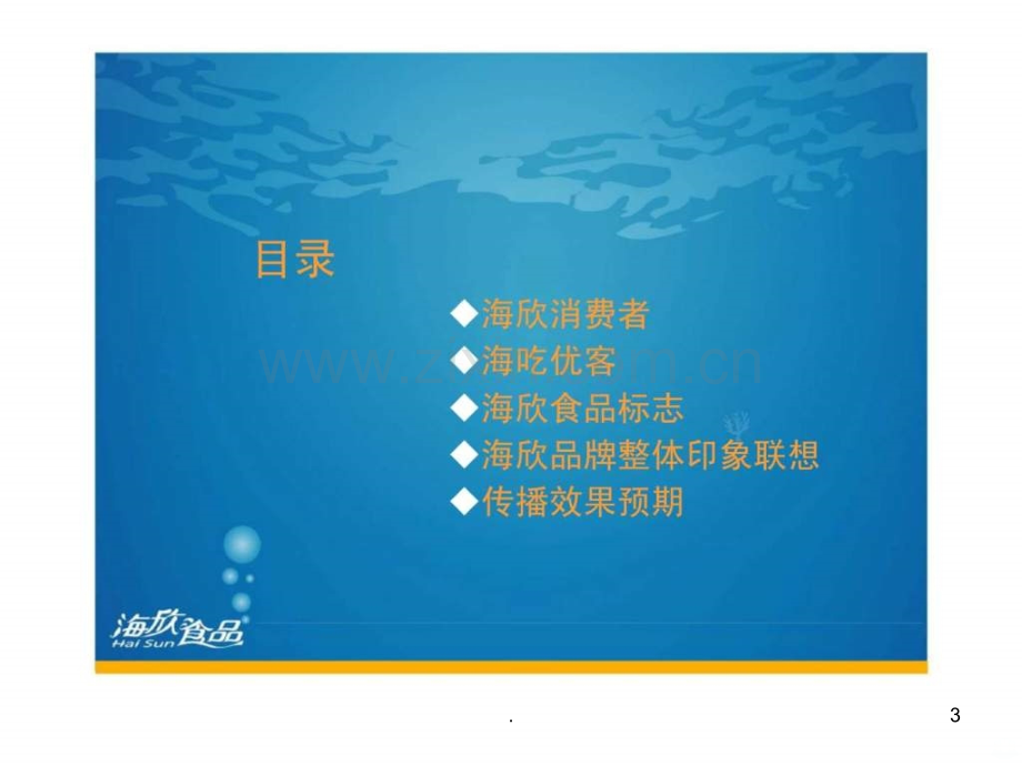 年海欣食品广告品牌策略提案ppt课件.ppt_第3页