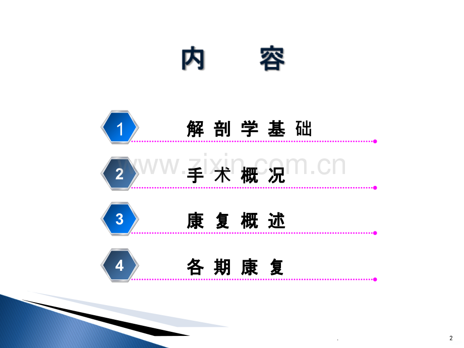 手部屈肌腱损伤康复.ppt_第2页