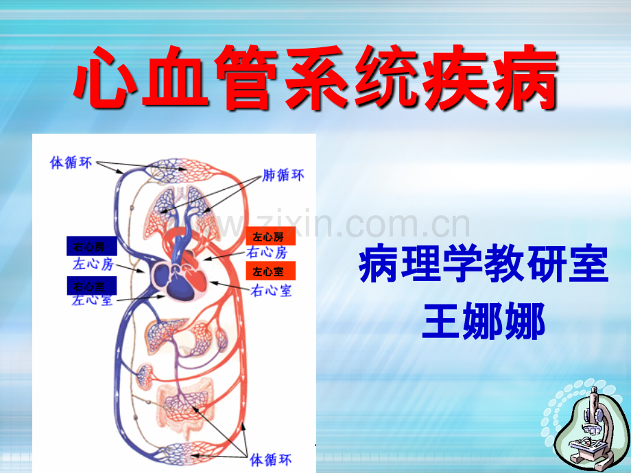 心血管ppt课件.ppt_第1页