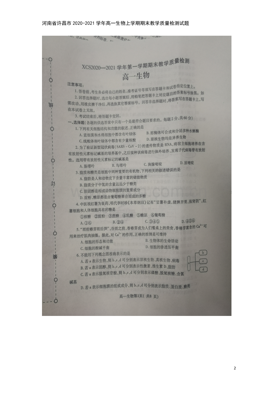 河南省许昌市2020-2021学年高一生物上学期期末教学质量检测试题.doc_第2页