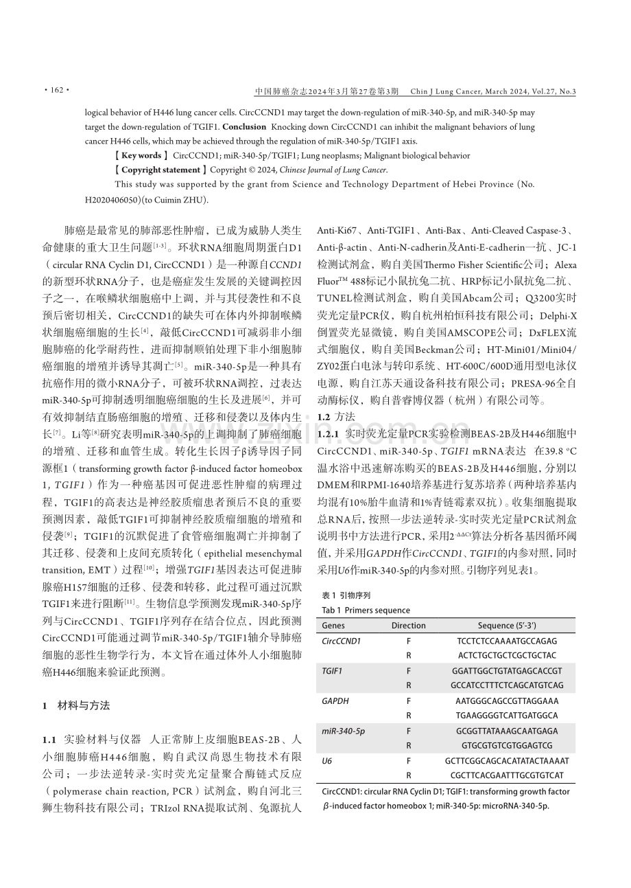 CircCCND1调节miR-340-5p_TGIF1轴对H446肺癌细胞恶性生物学行为的影响.pdf_第2页