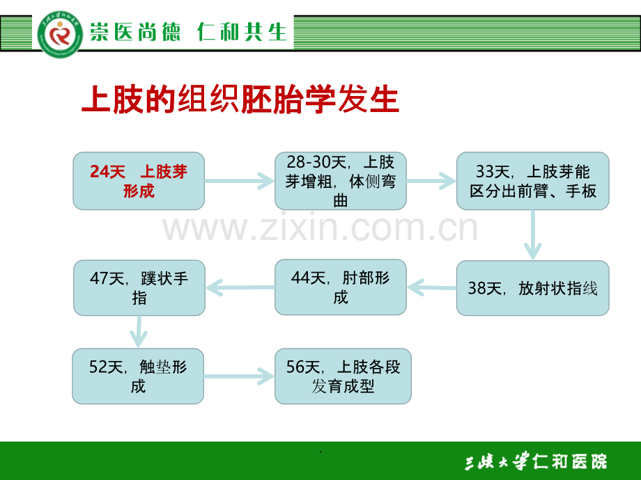 多指畸形.ppt_第3页