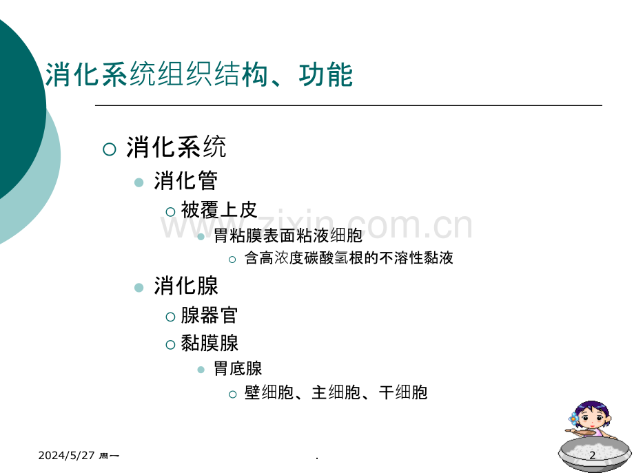 消化系统疾病.ppt_第2页