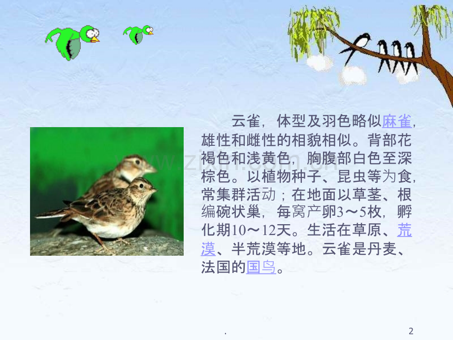 《云雀的心愿》.ppt_第2页