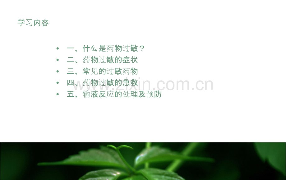 药物过敏的急救.ppt_第2页