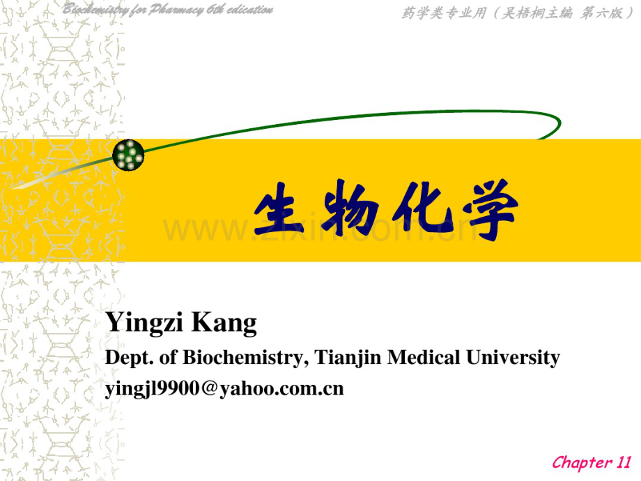 蛋白质的代谢ppt.pdf_第1页