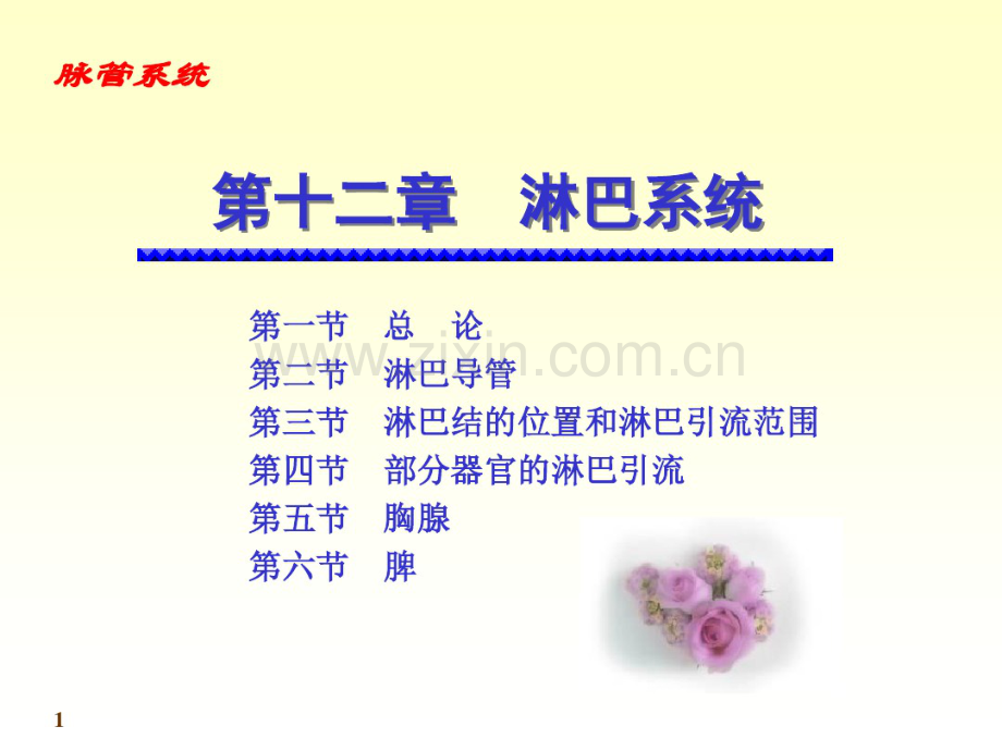 淋巴组织.pdf_第1页