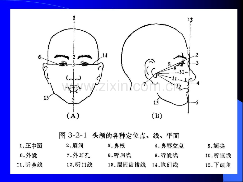 头颅X线摄影.pdf_第3页