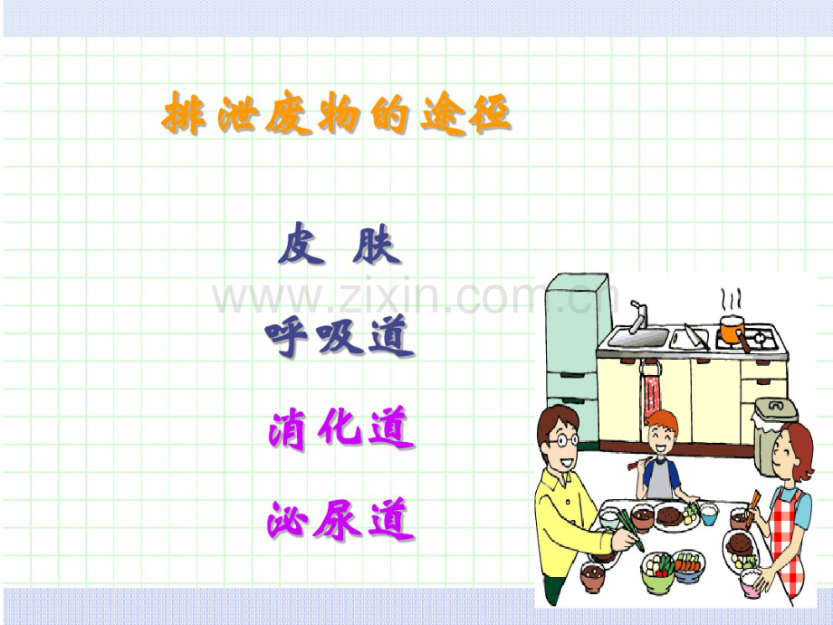 排泄护理.pdf_第3页