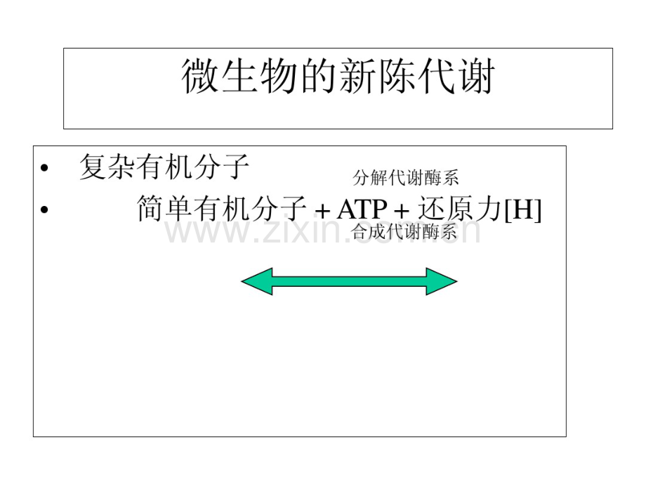 细菌代谢.pdf_第1页