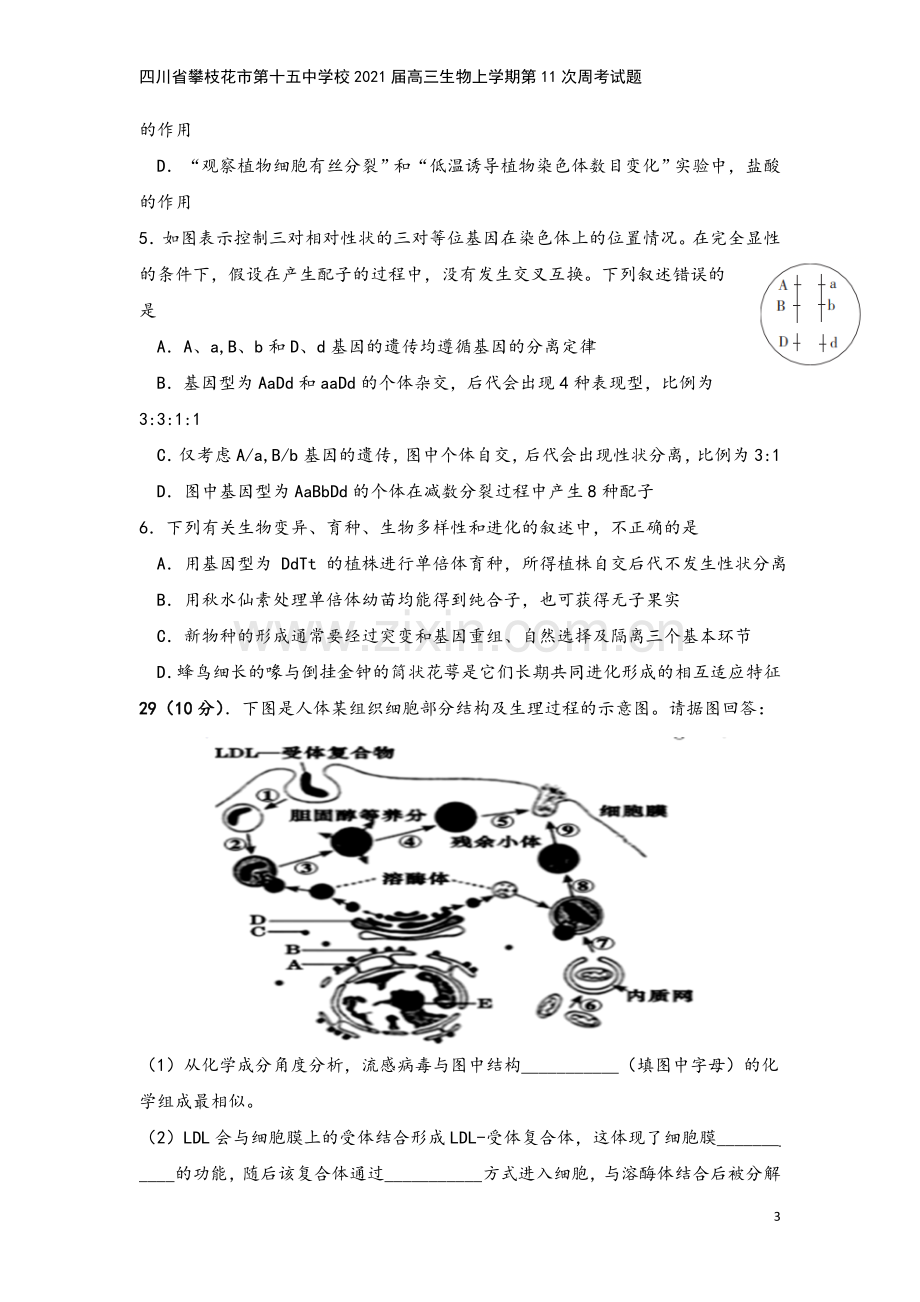 四川省攀枝花市第十五中学校2021届高三生物上学期第11次周考试题.doc_第3页